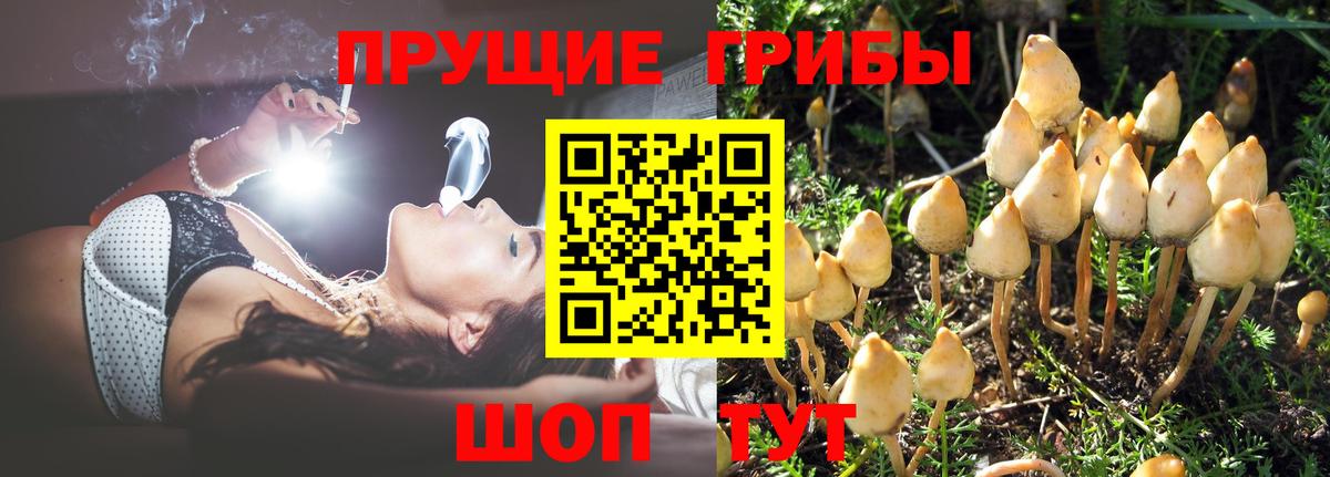Городец  Псилоцибиновые грибы мухоморы  Вход с VPN 