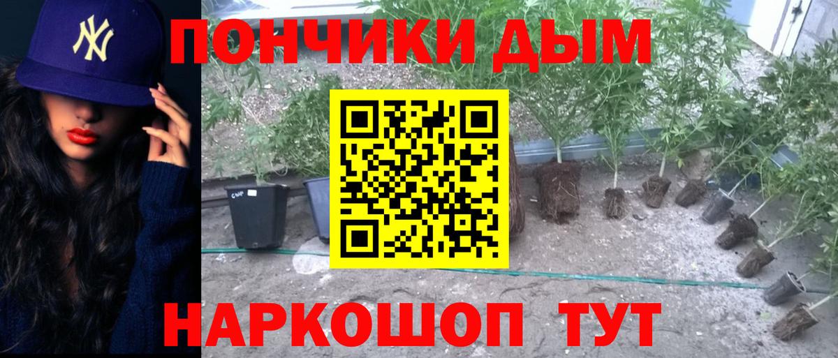 Бошки Шишки марихуана Городец